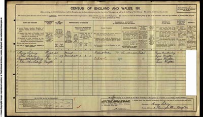 Image of page from 1911 census